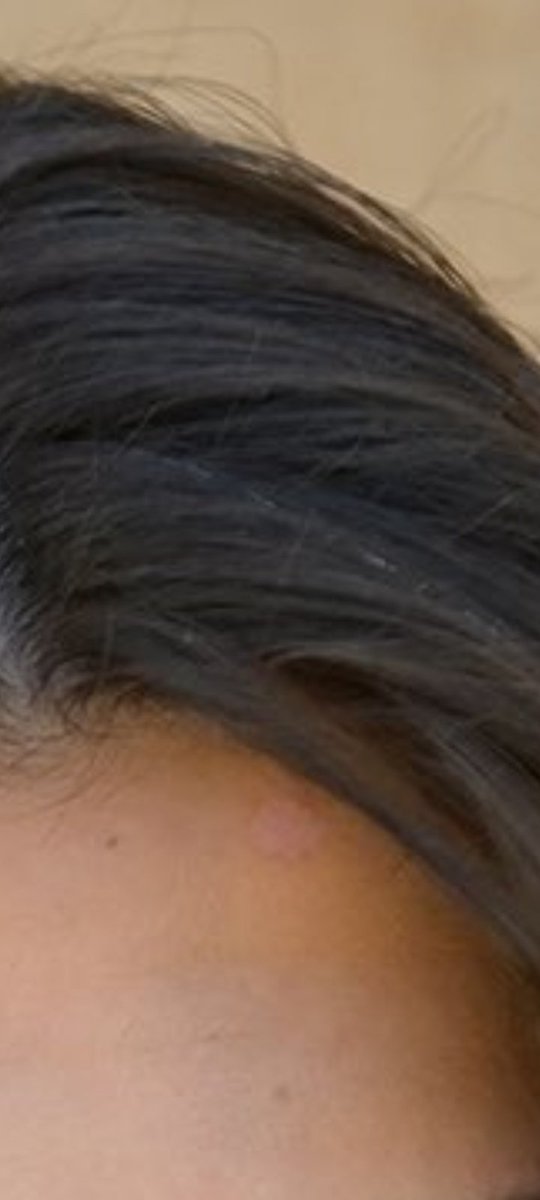 lema alsafi tweet media