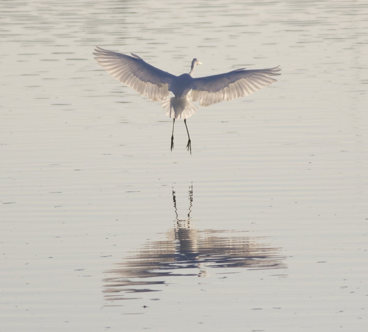 宮本 桂 tweet media