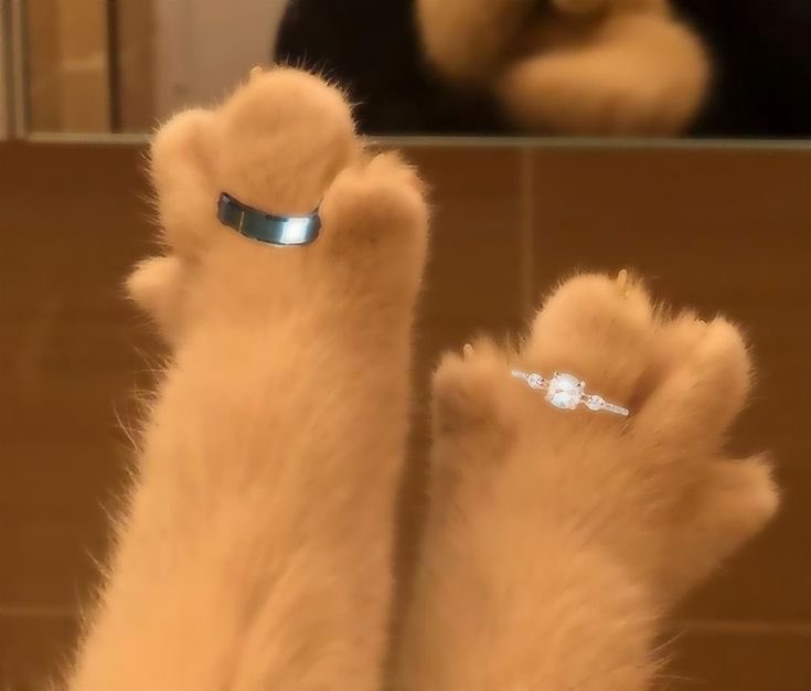 Meera Adhinata📍Samosir tweet media