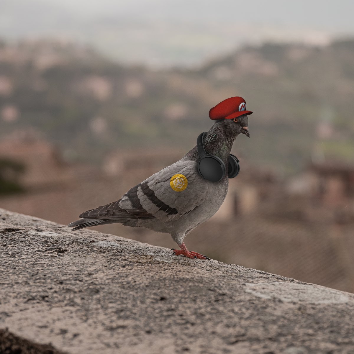 Radic3.eth tweet media