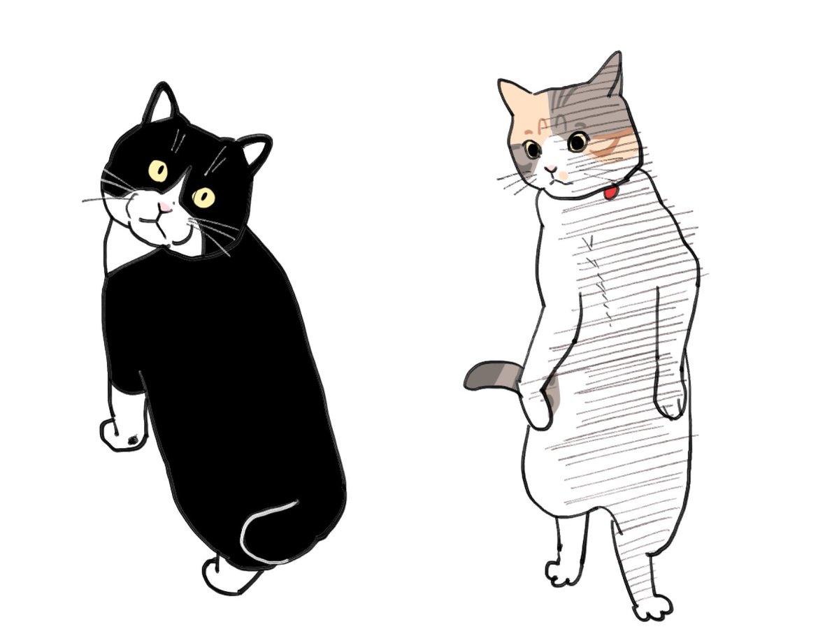 ちゃんchee💡 (@nyan_drow) on Twitter photo 