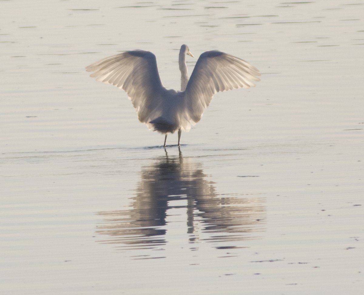 宮本 桂 tweet media