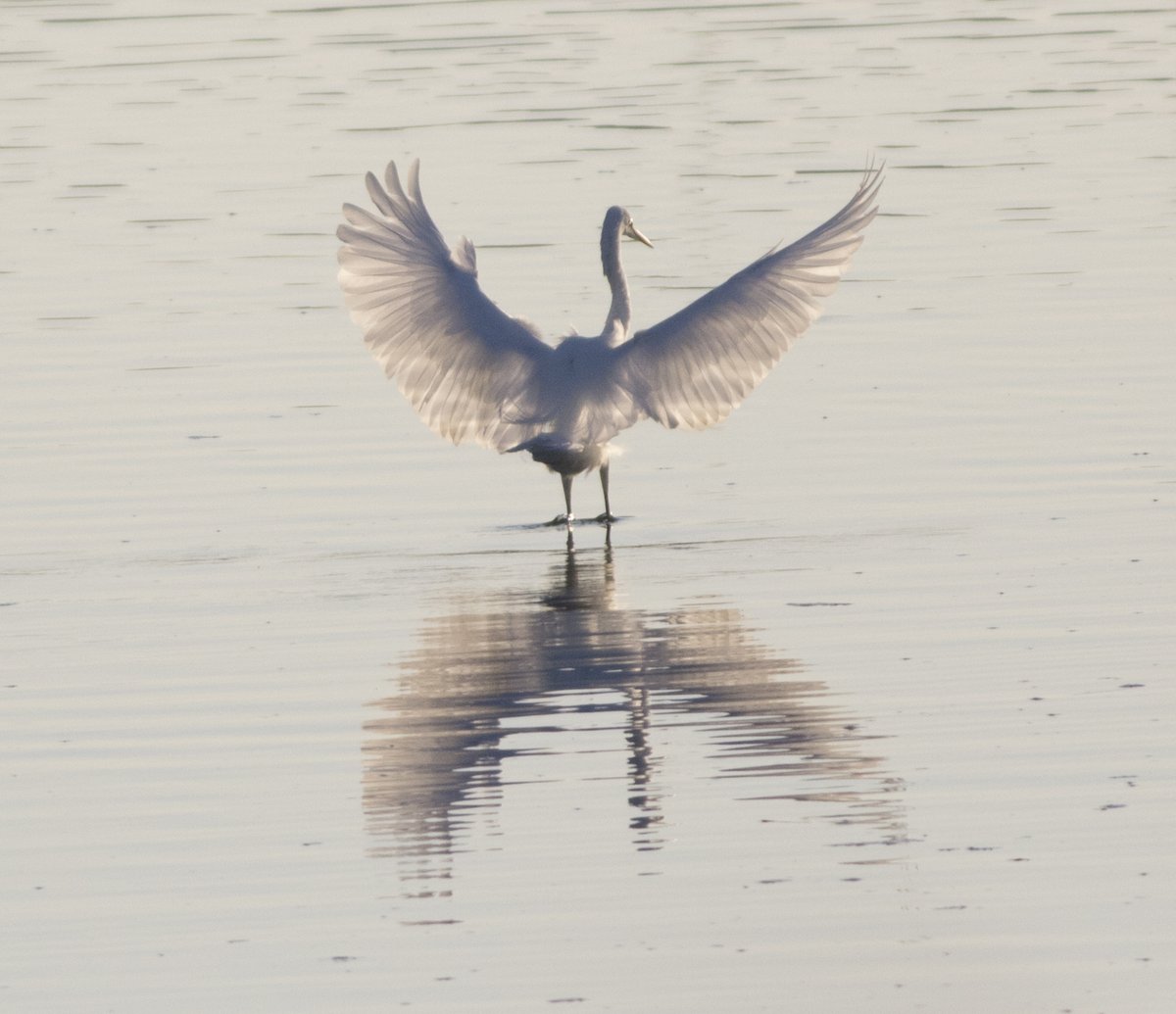 宮本 桂 tweet media