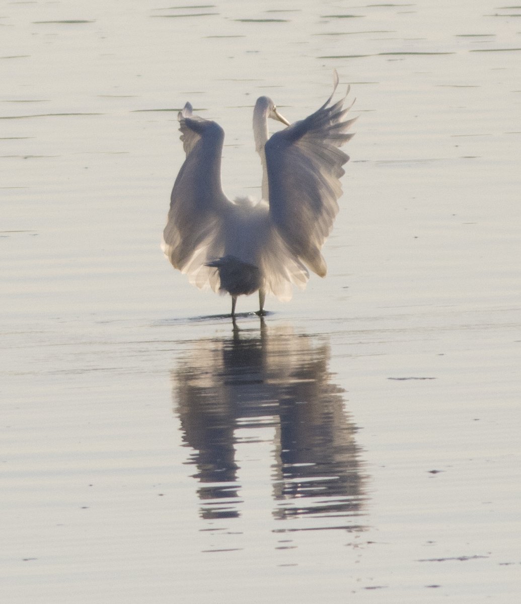 宮本 桂 tweet media