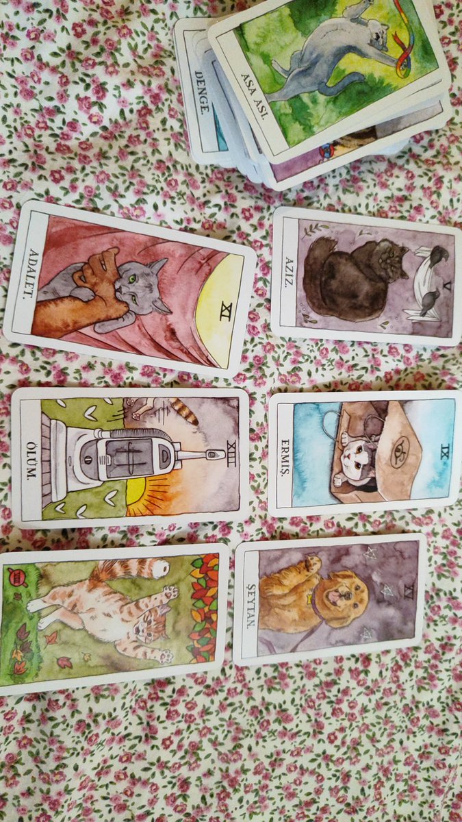 Andromedalı💫 tweet media