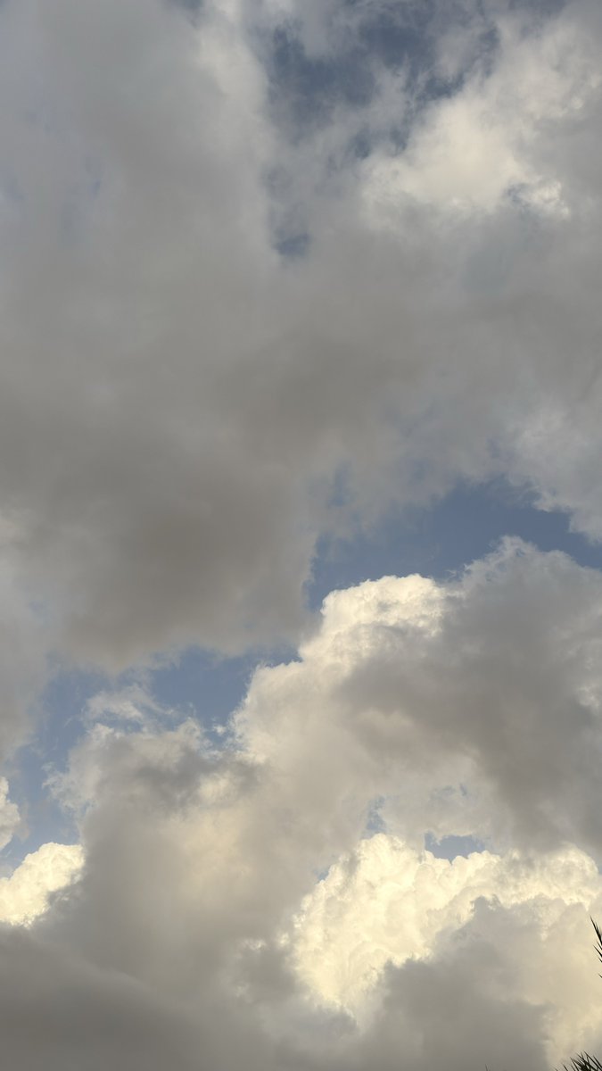 Dhaifallah tweet media