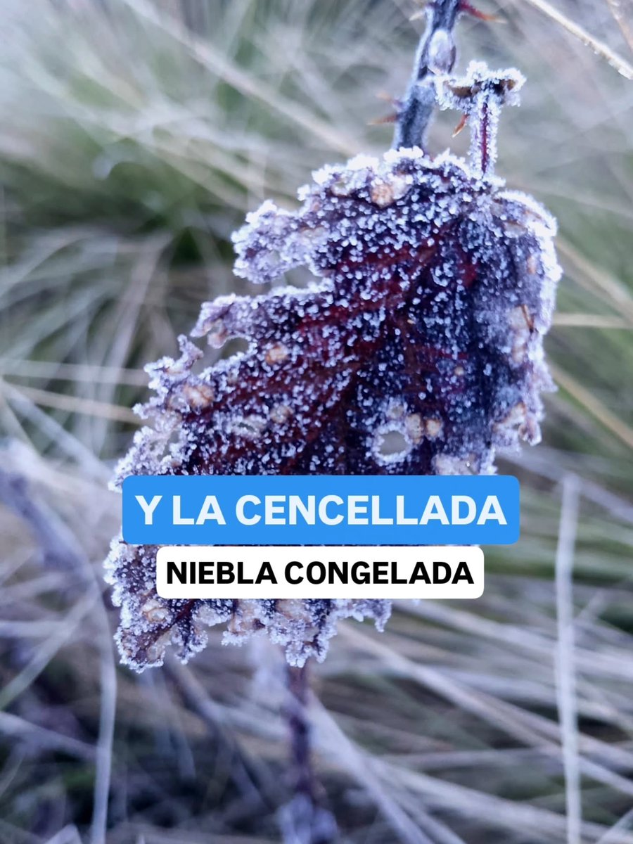 Jean Suriel tweet media