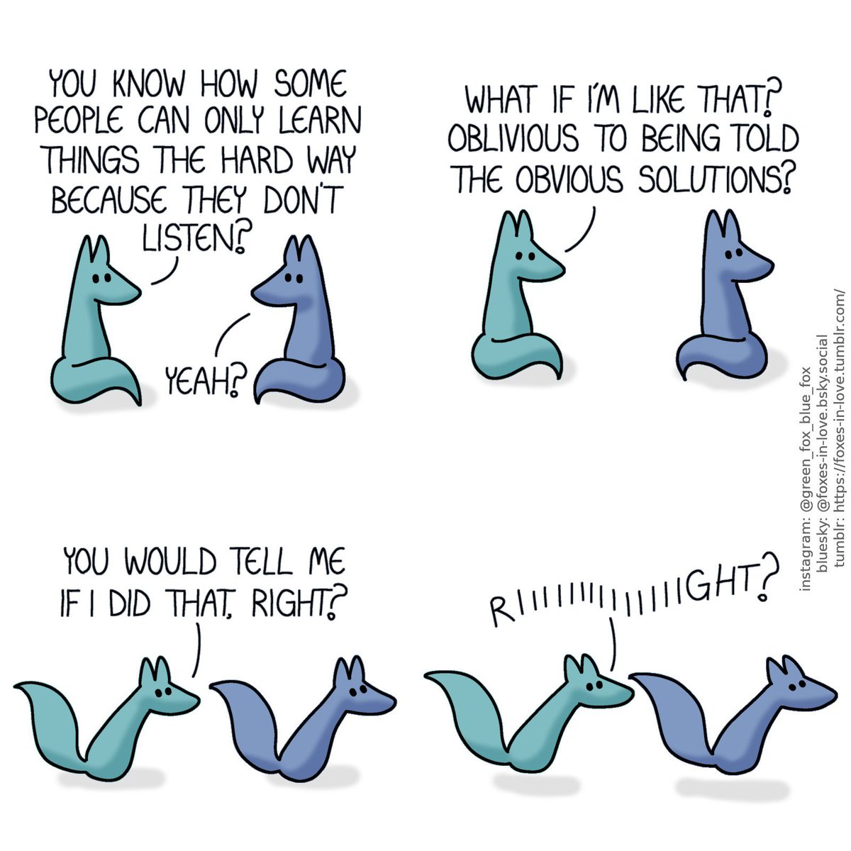 Foxes in Love tweet media