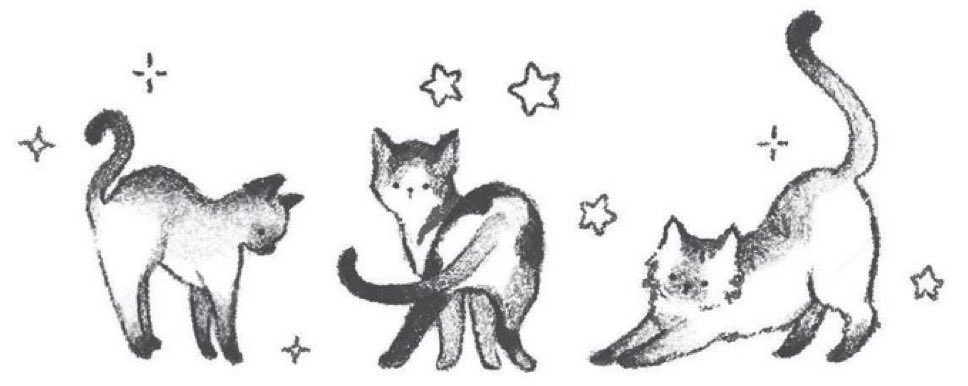 siena victoria 𐙚 ̊ ⋆. tweet media