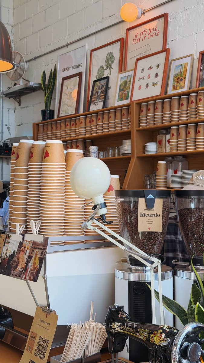 الرشيـّدي tweet media