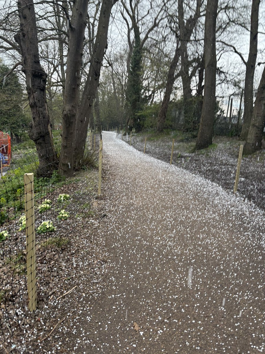 1ramaca's tweet image. first guy to listen to ello during a hailstorm #WhoElse