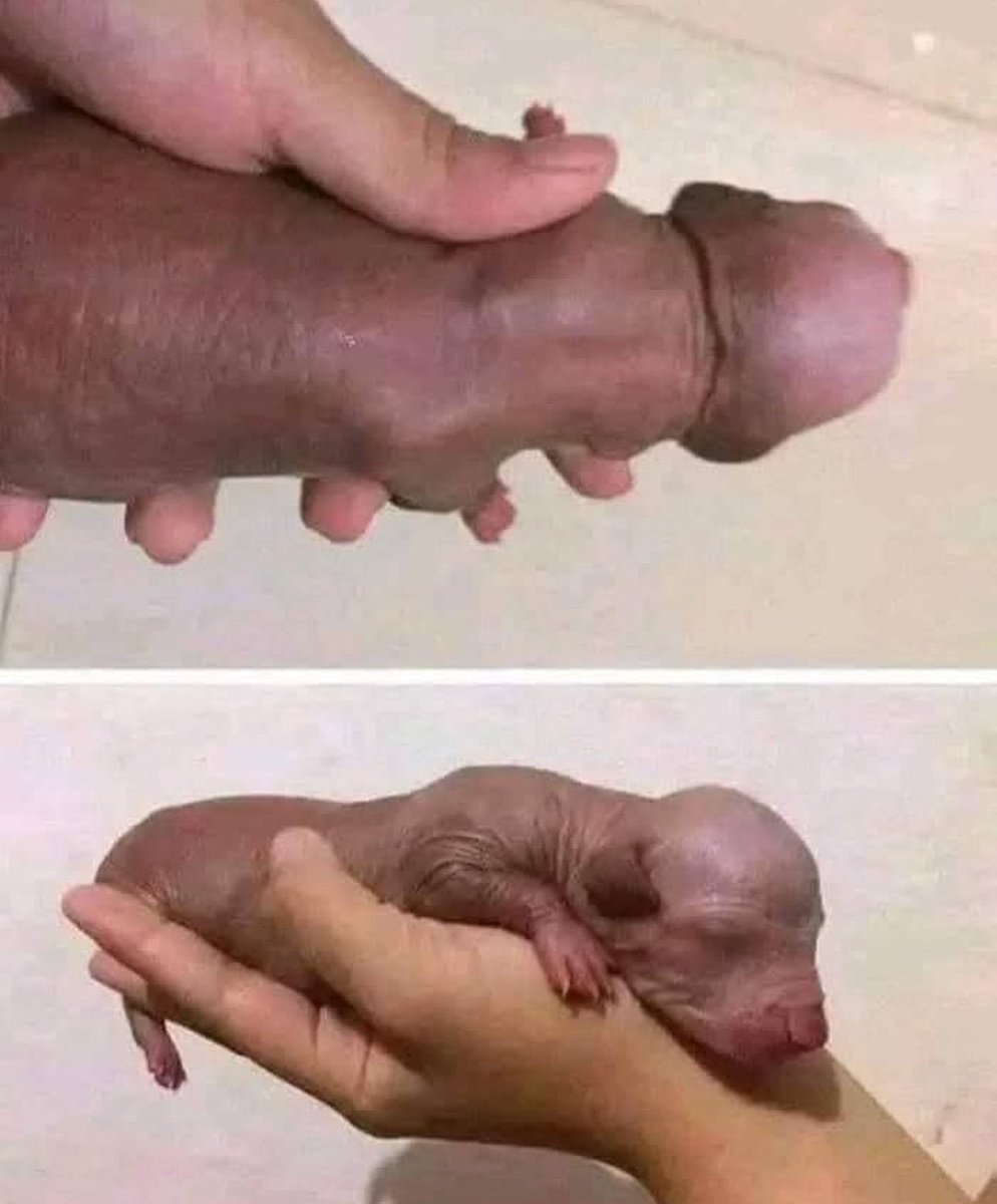 Kimberly Toureiro tweet media