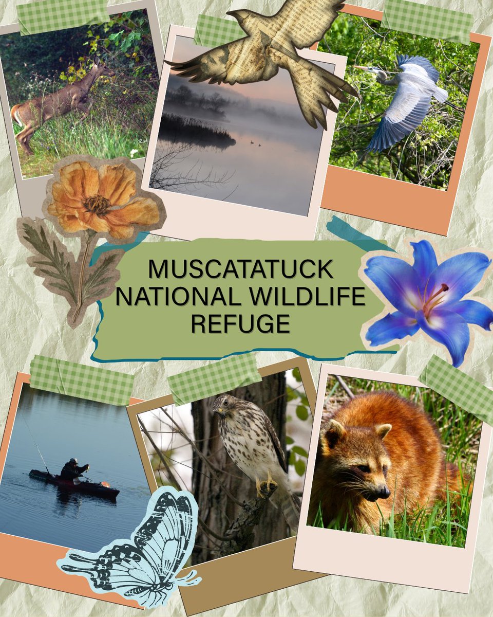 Purdue Center for Regional Development tweet media