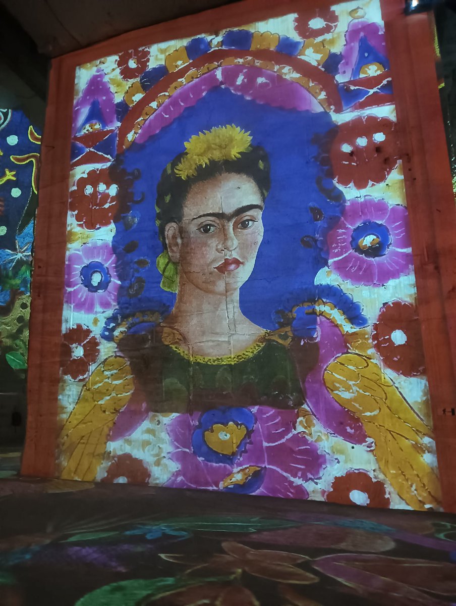 IES Fernando de Rojas tweet media