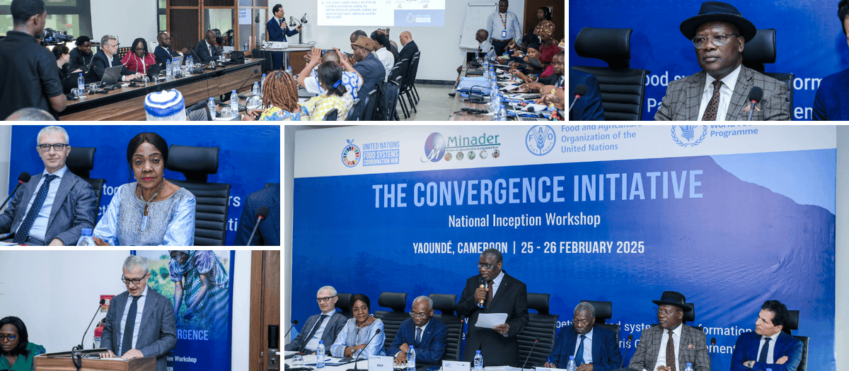 Joint SDG Fund 🇺🇳 tweet media