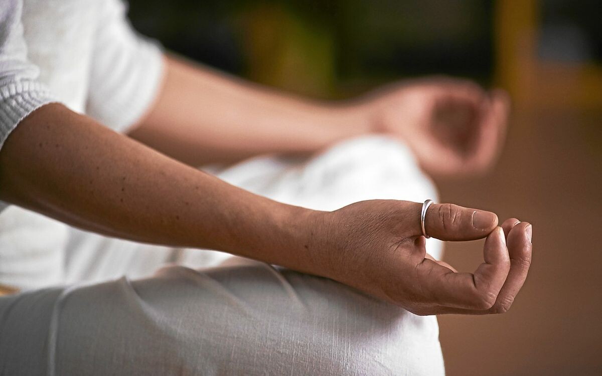 Le Télégramme tweet media