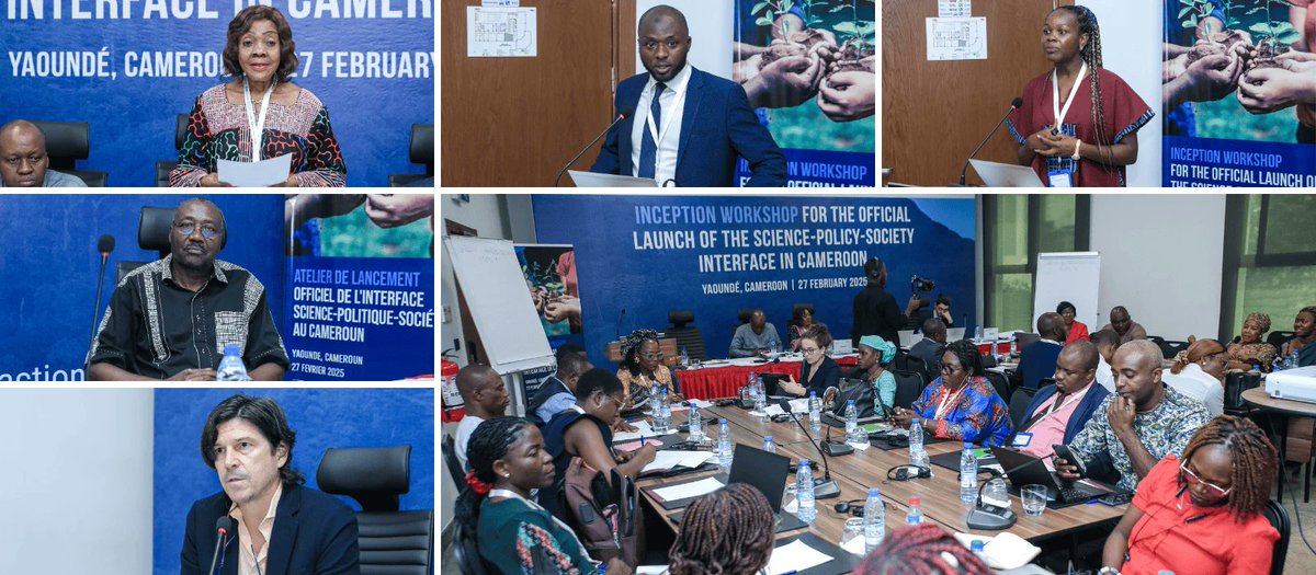 Joint SDG Fund 🇺🇳 tweet media