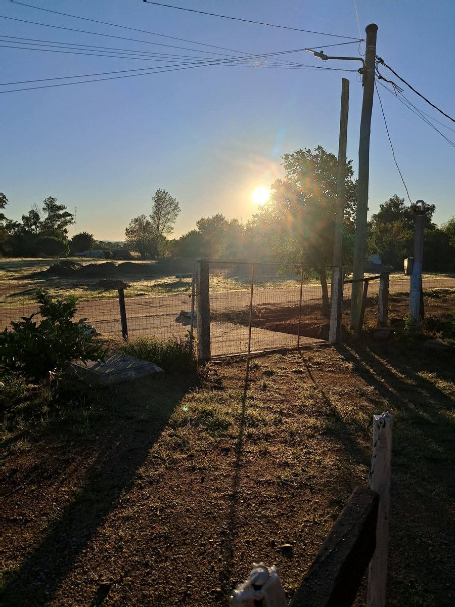 Rayito Suarez tweet media