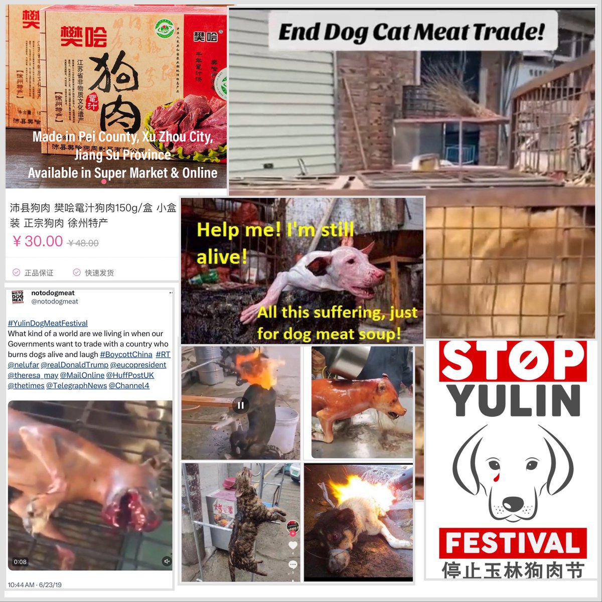 TweedTweedle's tweet photo. @SamanthaTaghoy Help to call China to do law &amp; order to stop animal abuse for profit &amp; entertainment! https://t.co/xh6AMnTD5Y
