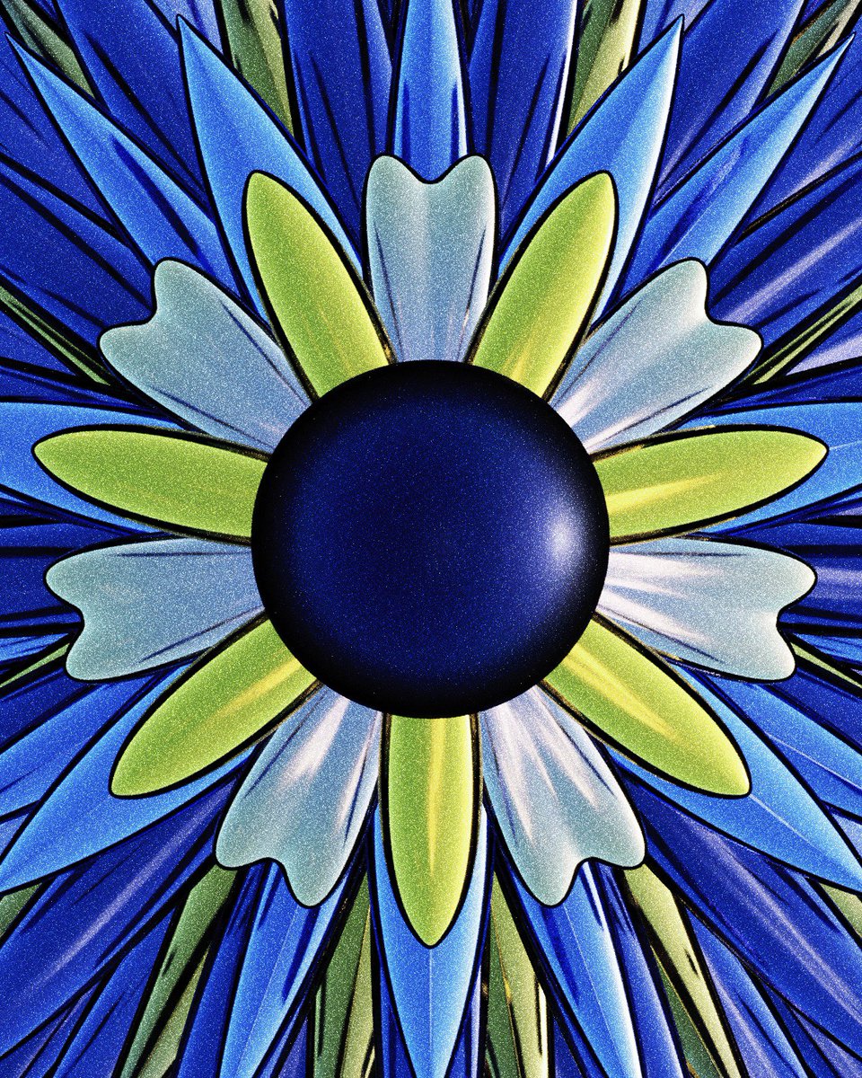 EMILY NICOLL tweet media