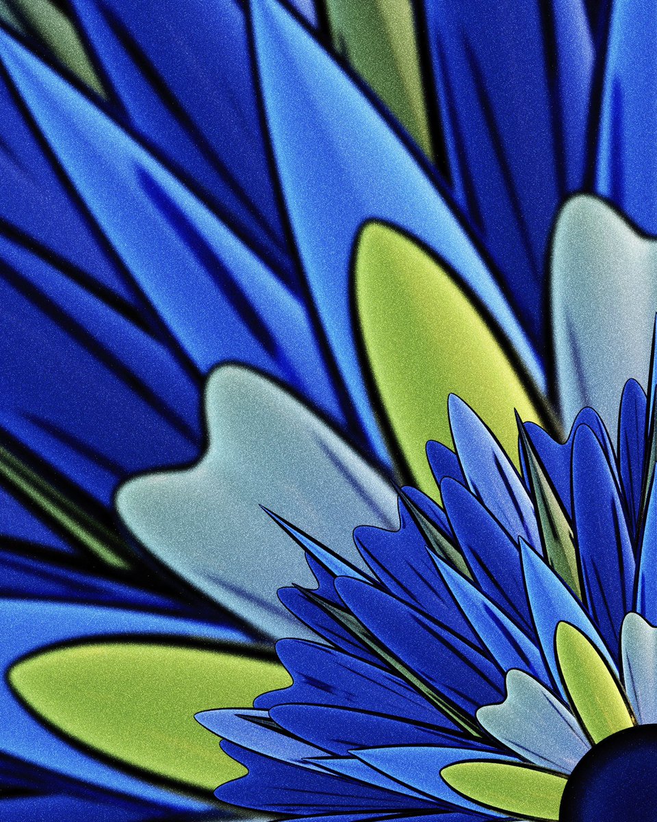 EMILY NICOLL tweet media