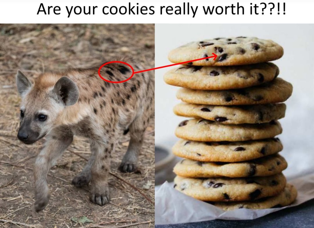 Junius Publius Corax tweet media