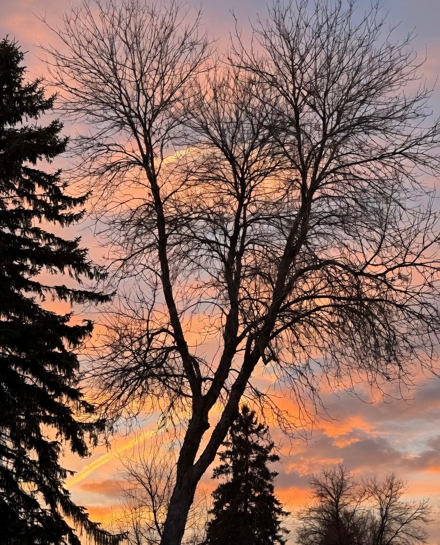 Skies 💕 tweet media