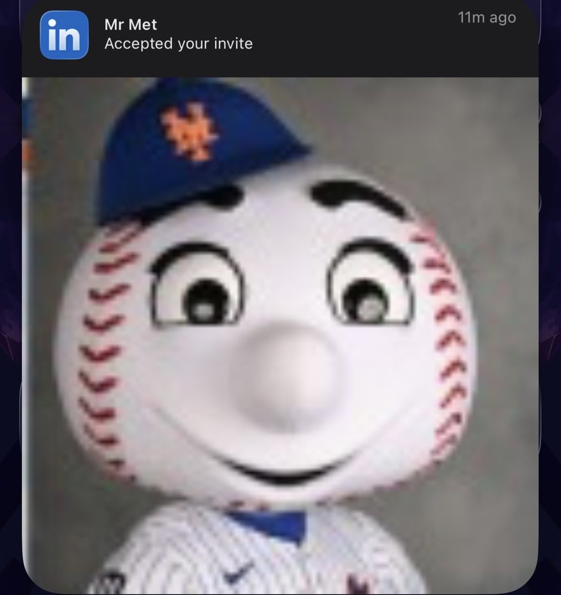 Ludex: Sports + TCG Card Scanning App tweet media