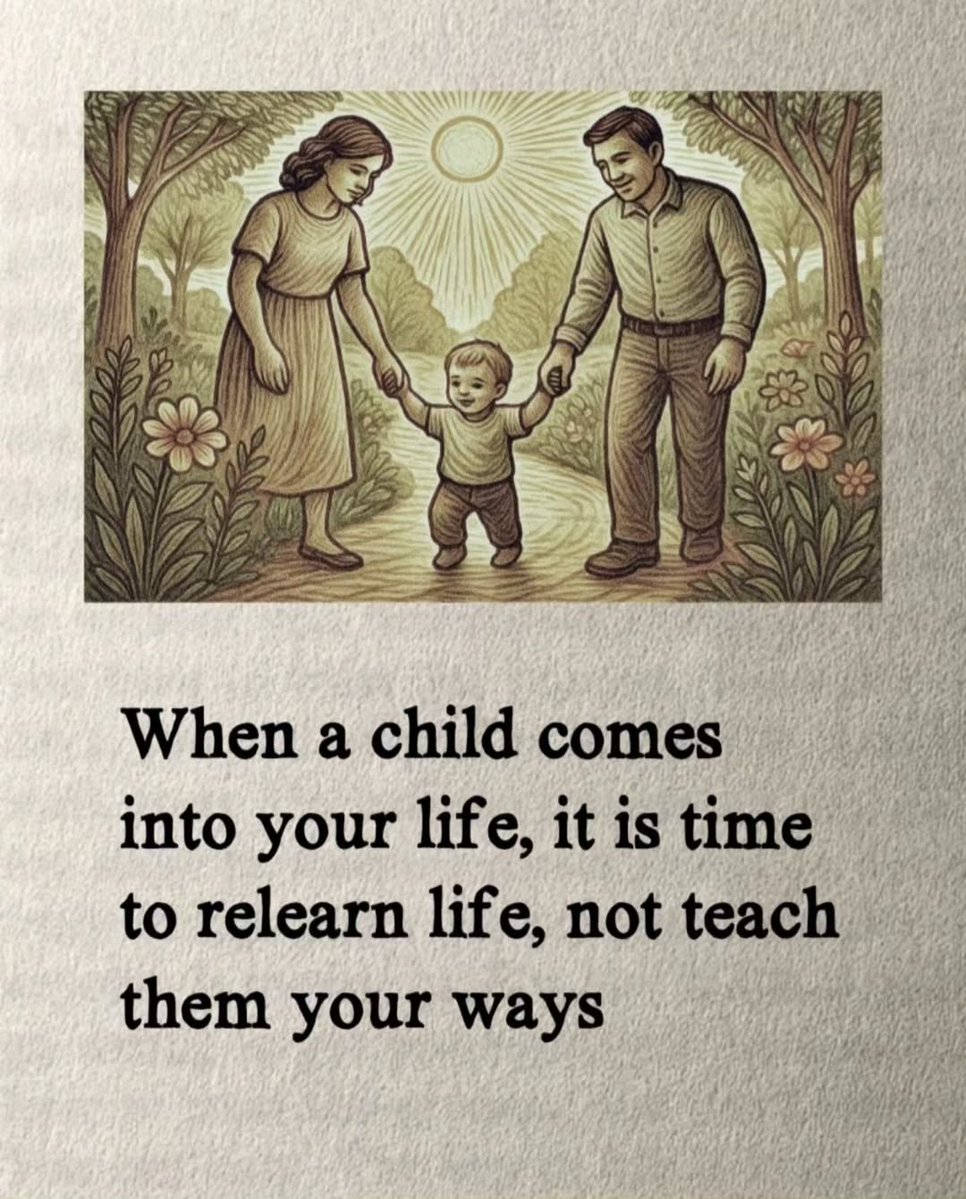 Seek Wiser tweet media