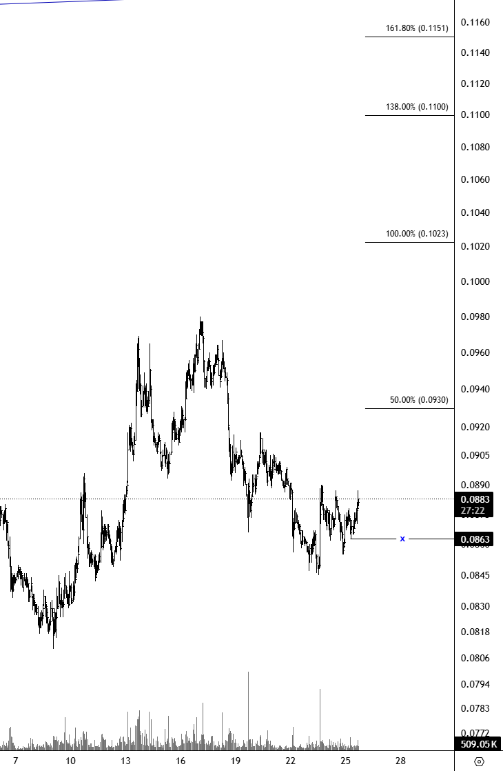 Shelby توماس '$ tweet media