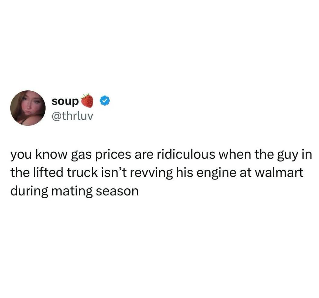 Tom Gardiner tweet media