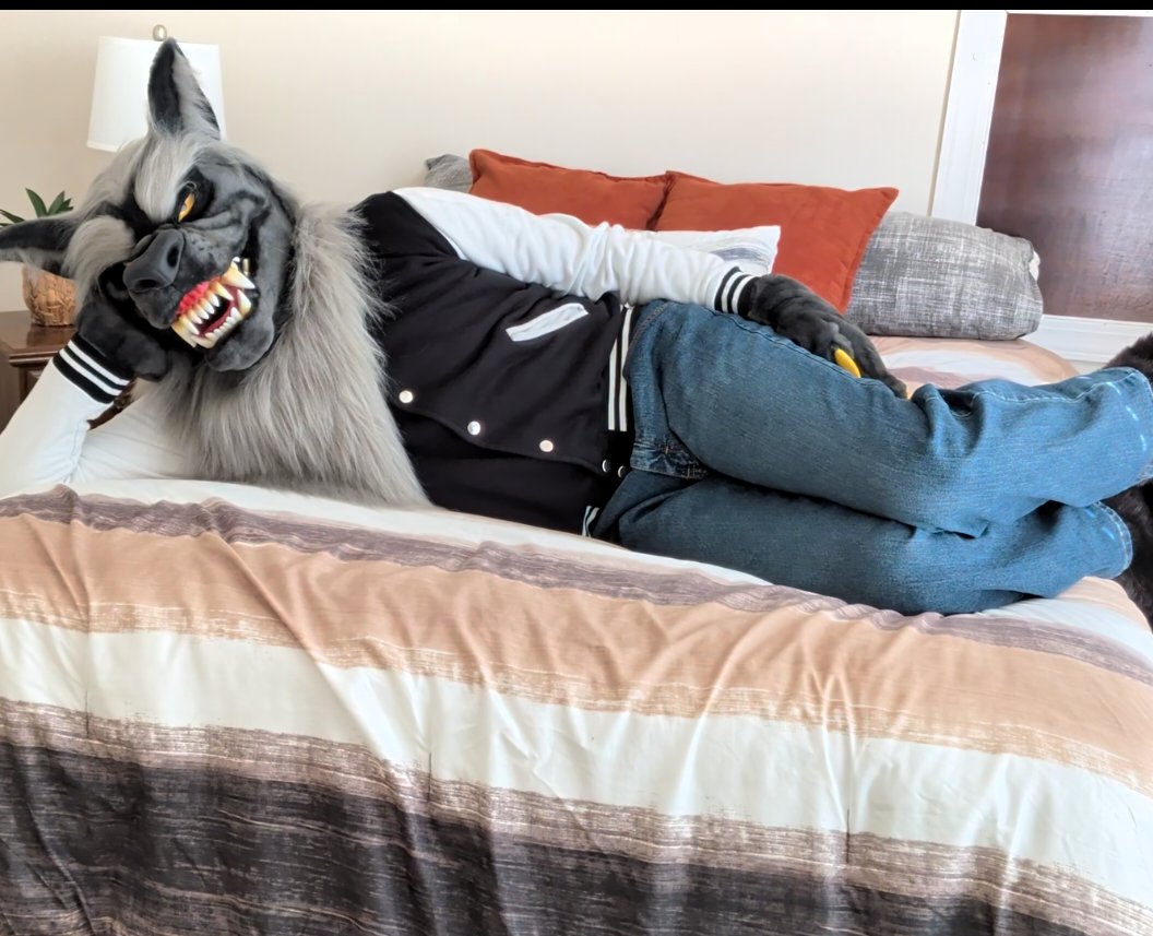 Valnos Floofdog tweet media