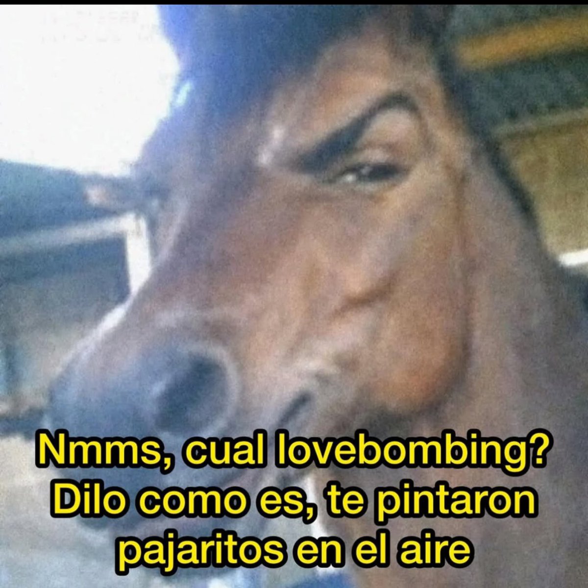 siempreconrisa's tweet photo. ¯\_(ツ)_/¯ https://t.co/ZczXYirPzj