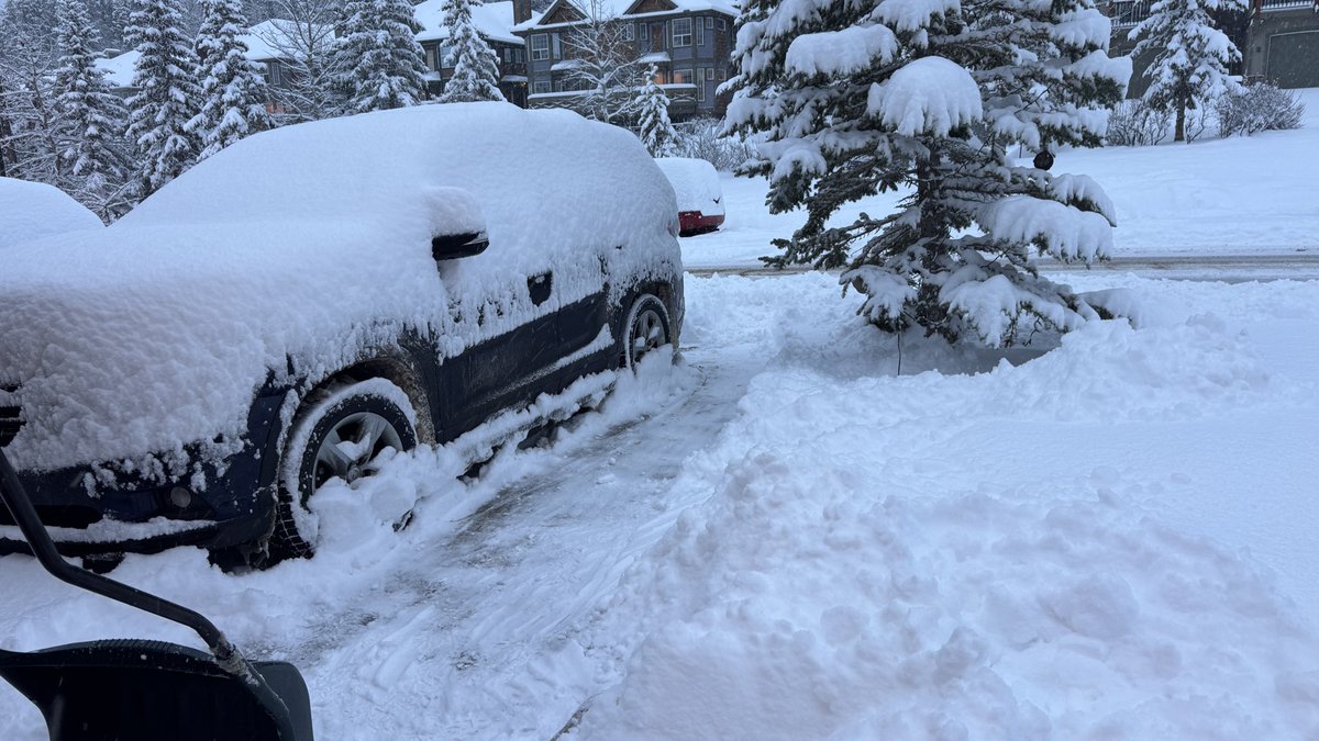 Stan Williams 🇨🇦 tweet media