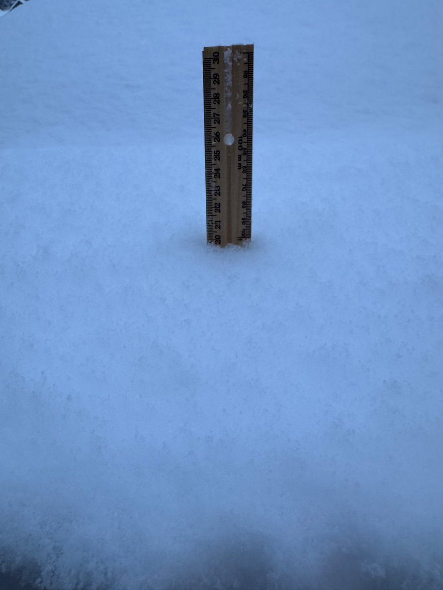 Stan Williams 🇨🇦 tweet media