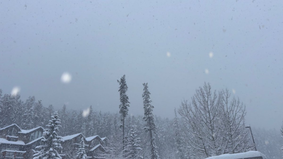 Stan Williams 🇨🇦 tweet media