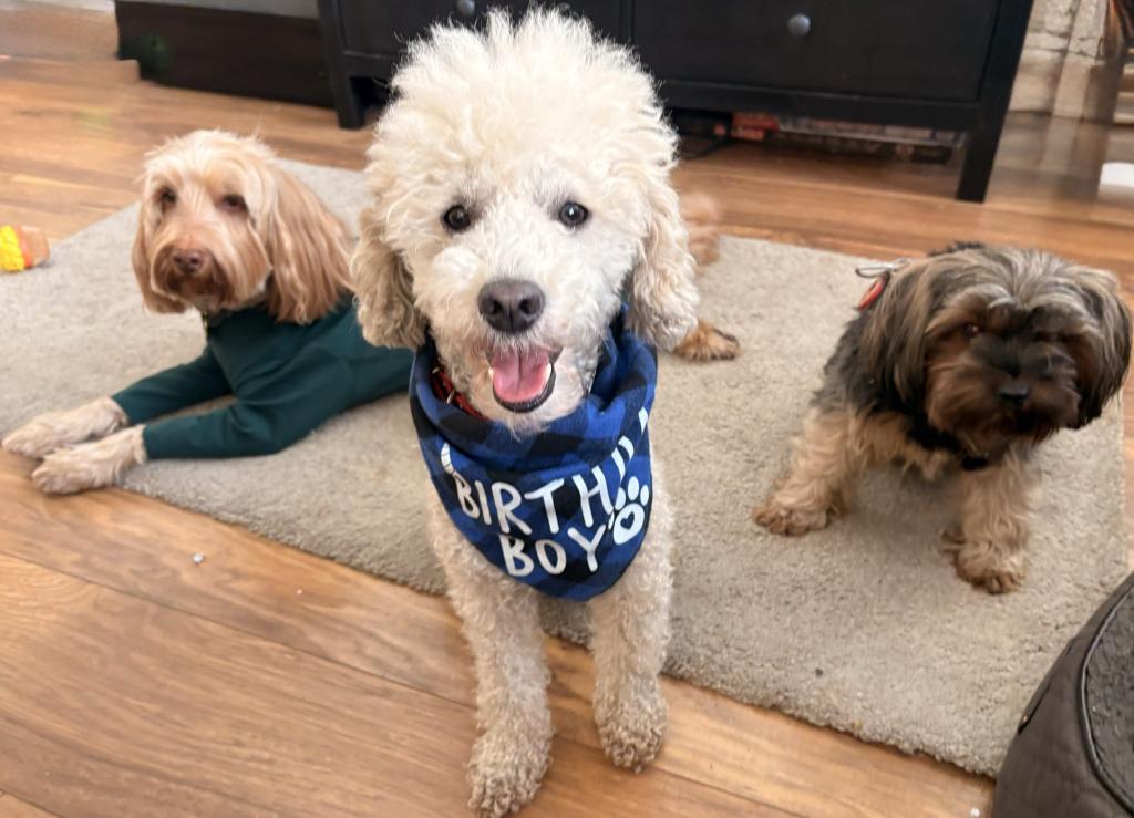 AndyMorgan🏴󠁧󠁢󠁷󠁬󠁳󠁿 tweet media