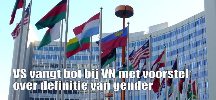 GayliveBe 🌈 tweet media