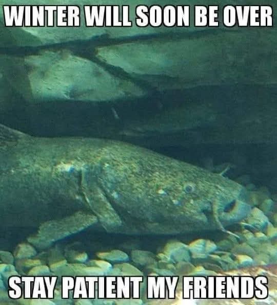 Fishreaper tweet media