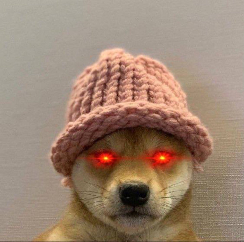 Boho 🌊 tweet media