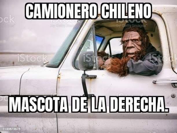 🐾🐾🐕🐾ɹɐןı̣Ԁ🐾🐕🐾🐾 (@_p_i_l_a_r) on Twitter photo 