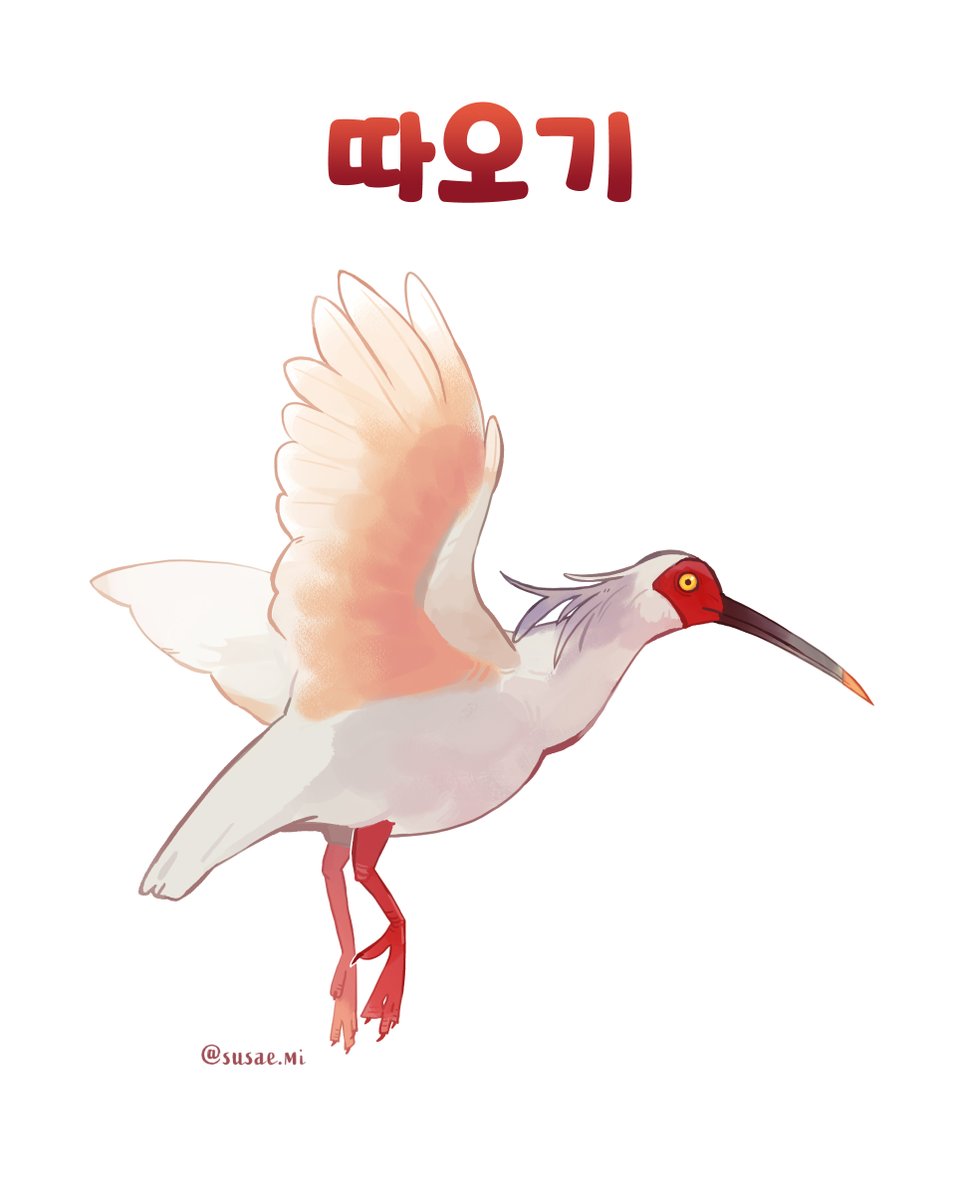 수새미 tweet media