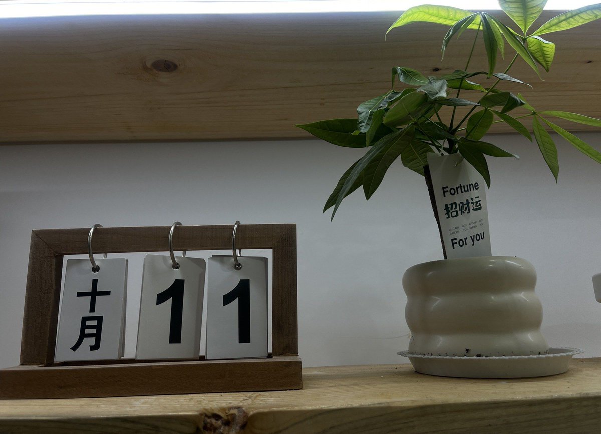 Данил Кучевин tweet media