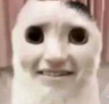 ℂℍ𝕌𝔻 tweet media