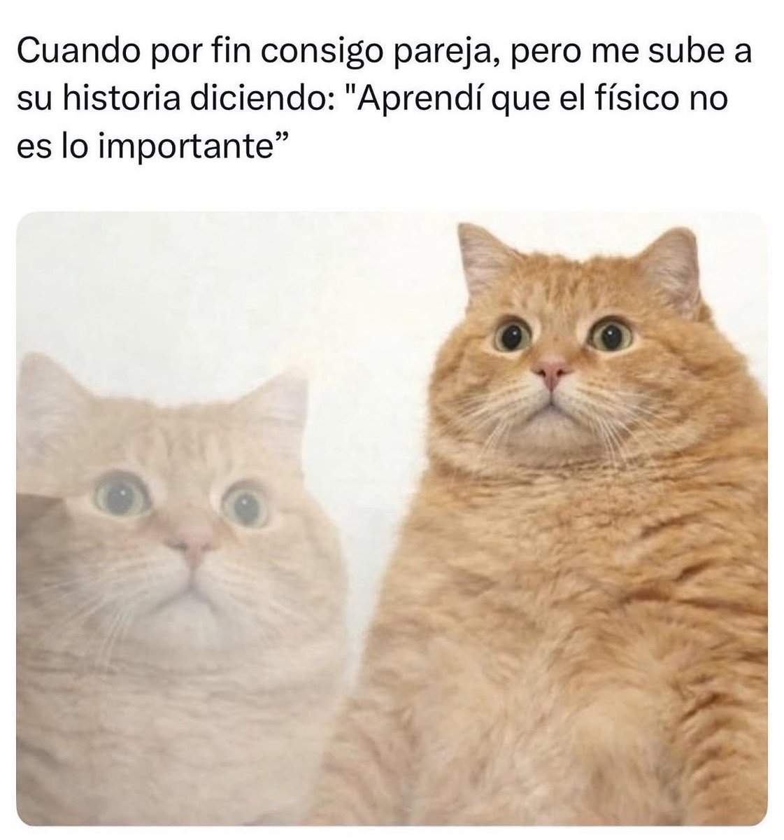 Roberto Carlos Flores tweet media