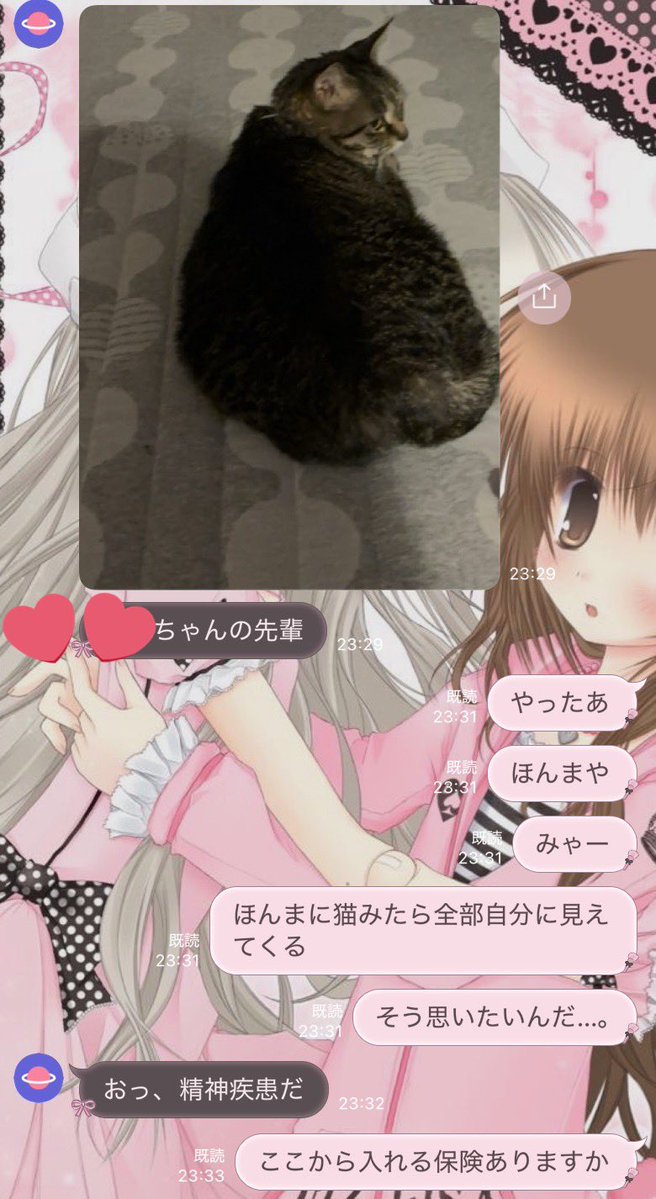 strawberry mochi cat tweet media