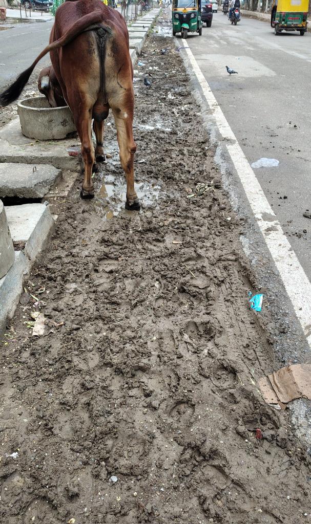 Noida_Updates tweet media