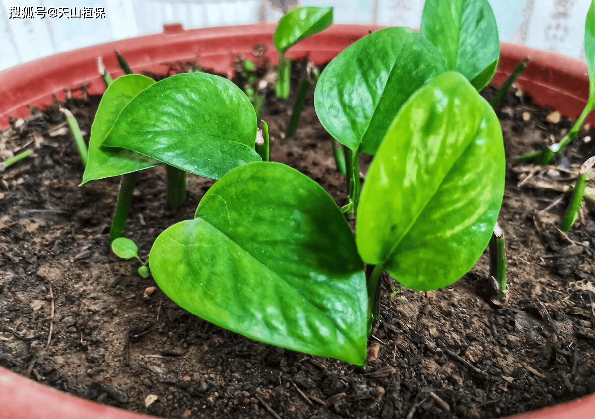 Patrycja tweet media