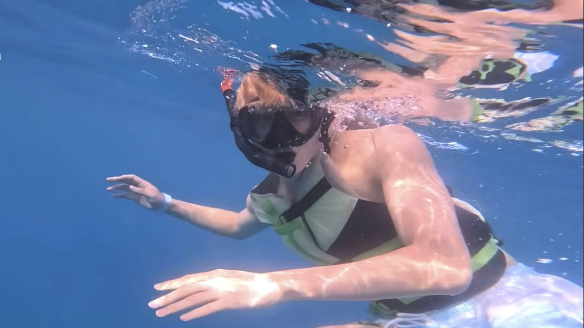 meii 🍅🌱 tweet media