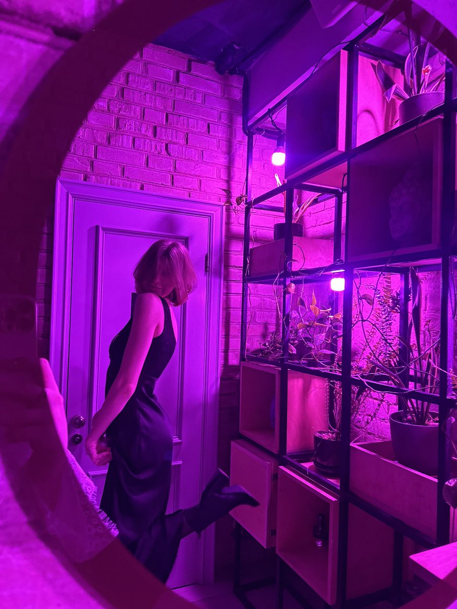 еліс ۶ৎ tweet media